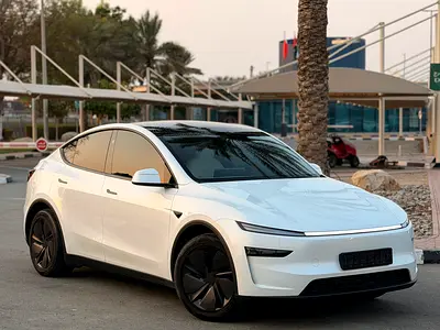 2025 Tesla MODEL Y 照片 4