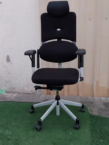 Steel case please v_1 ergonomic office chair