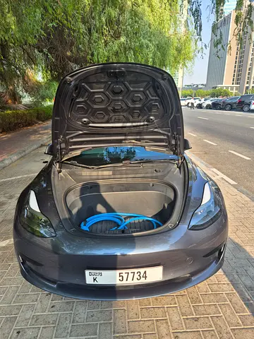 Tesla Model 3 Standard Plus, миниатюра 5