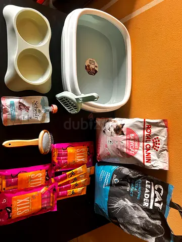 Cat food and new accessories for sale - Used 2 days only