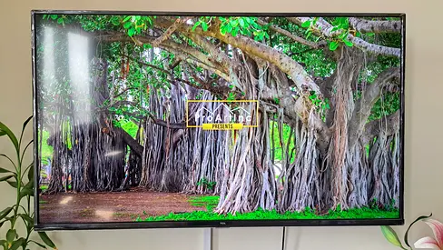 Tcl 55 inch tv in perfect condition