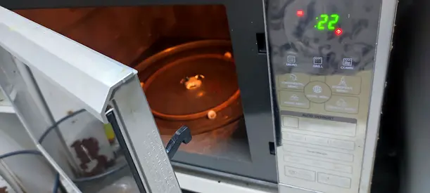 LG oven