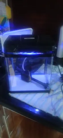 Aquarium