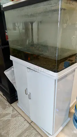 500 ( last price ) no negotiation, Used 80-100L Fish Aquarium with White Cabinet - Needs Cleaning
