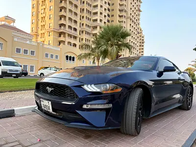 Ford Mustang Ecoboost 2019 - Canadian Specs - Excellent Condition