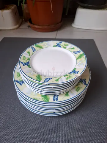 Set of 8 Floral Ceramic Dinner Plates - Good Condition