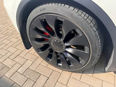 2023 Tesla MODEL Y photo 6