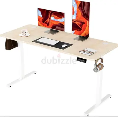 Selling Electric Standing Desk (Used)
