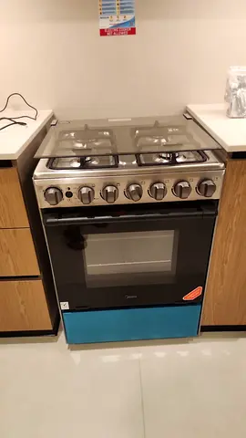 Gas stove