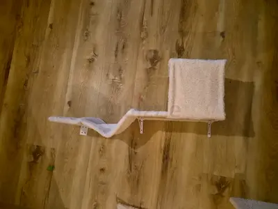 Cat shelves