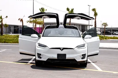 2020 Tesla MODEL X photo 6