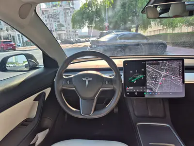 Tesla Model 3 Standard Plus, миниатюра 9