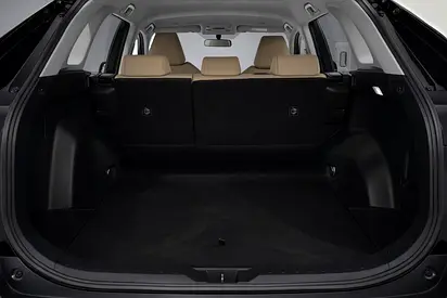 2024 Toyota RAV 4 照片 11