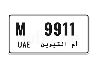 9911 for Porsche 911