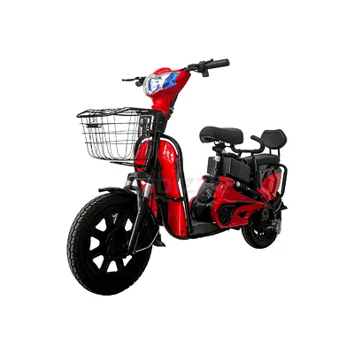 Wind Horse M2 Electric Bike, M2