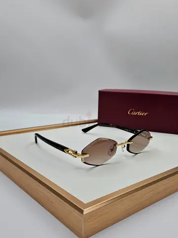 Cartier sunglasses for men
