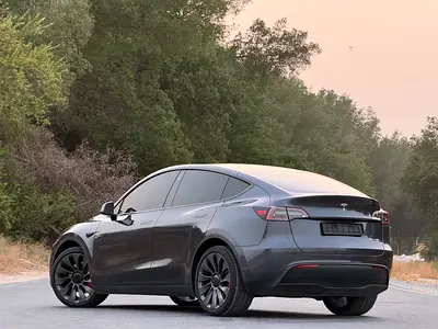 2023 Tesla MODEL Y 照片 6