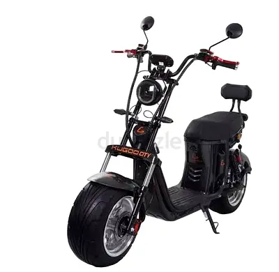 Kugoo City Electric Scooter