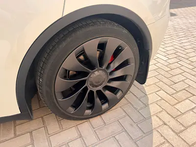 2023 Tesla MODEL Y photo 5
