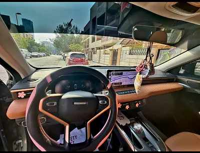 Haval Jolion Luxury, миниатюра 8