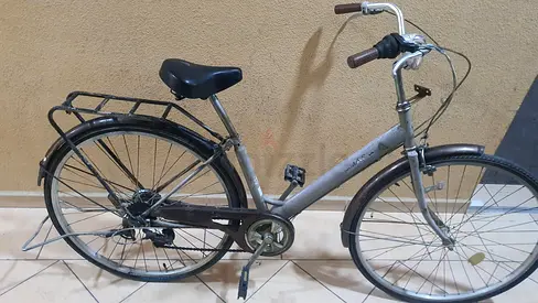 Green city commuter bicycle - sturdy step-through frame, ready to ride