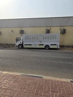 Professional Movers & Packers in Umm Al Quwain – Reliable Moving Services
