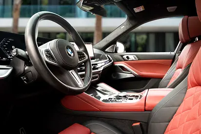2025 BMW X6 照片 9