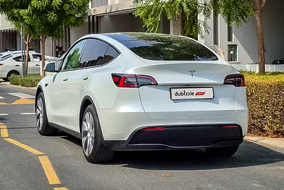 2024 Tesla MODEL Y 照片 8
