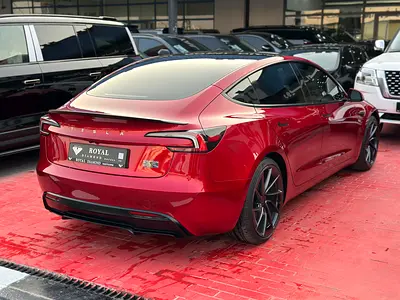 2024 Tesla MODEL 3 照片 6
