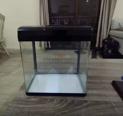 Small fish aquarium with accessories and 5 free fishes for sale