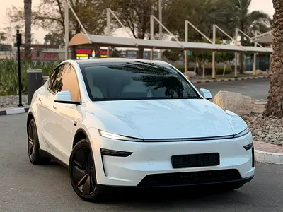 2025 Tesla MODEL Y 照片 5