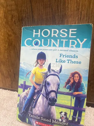 Horse Country Friends Like These by Yamile Saied Mendez