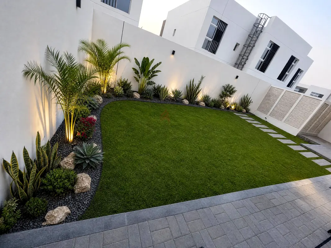 DPV_View_Image_2