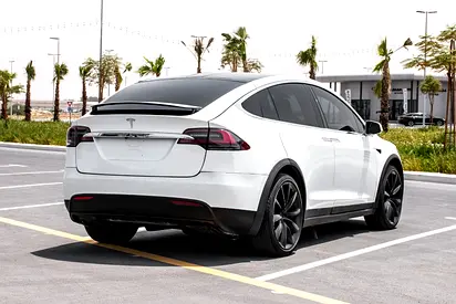 2020 Tesla MODEL X photo 10