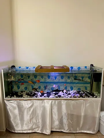 190x60x40 Large Glass Aquarium Tank without Stand and Decoration - Ready to Use