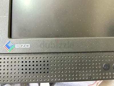 EIZO 15 inch LCD Monitor - Good Working Condition, without stand