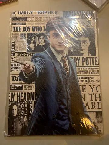 Harry Potter poster/book cover - The Daily Prophet design