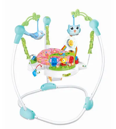 Fisher-Price Jumperoo Baby Bouncer and Activity Center