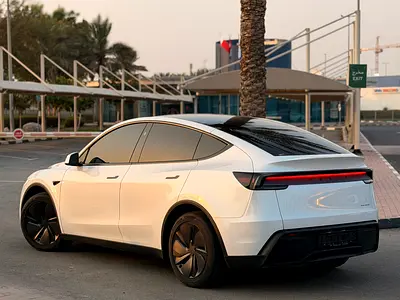 2025 Tesla MODEL Y 照片 7