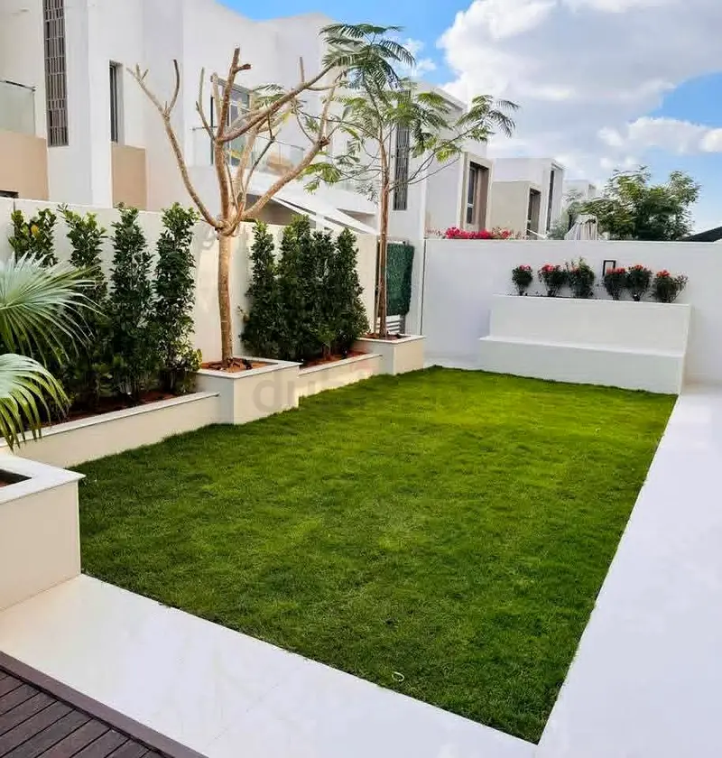 DPV_View_Image_3