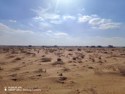 **Prime Residential Plot for Sale – Near the Mosque**