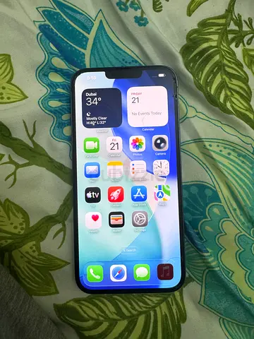 13 pro max