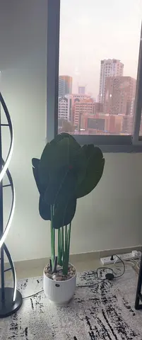 Green plant