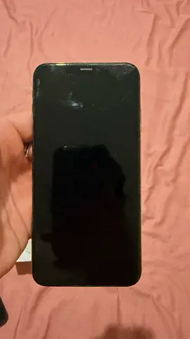 Iphone X max