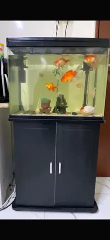 Fish Aquarium with stand