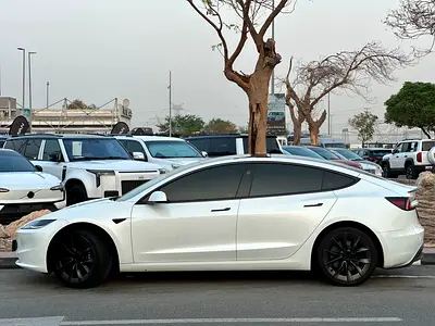 2024 Tesla MODEL 3 照片 6