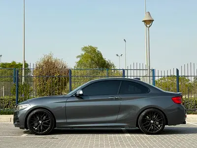 2018 BMW 2-SERIES 照片 7