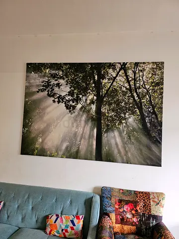 Ikea large picture frame