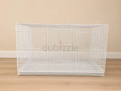 Bird Cages