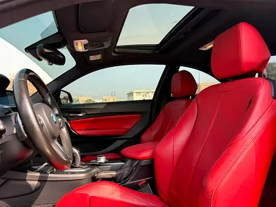 2018 BMW 2-SERIES 照片 14